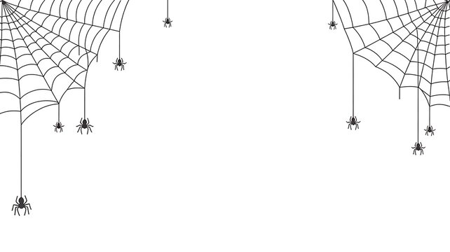 Black spider webs with hanging spiders on a white background for halloween design