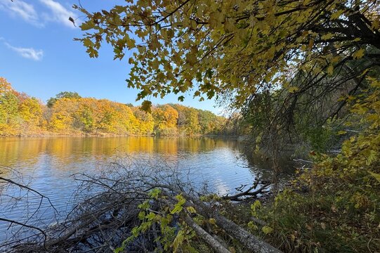 autumn in the park