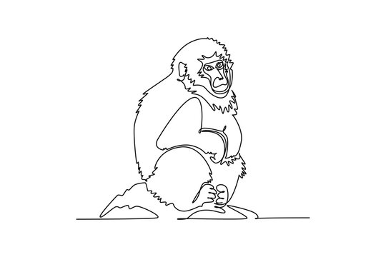 Single one line drawing fluffy Japanese macaque or snow monkey sitting calmly on a rock, showing its fur, facial contours, and relaxed posture. Continuous line draw design graphic vector illustration