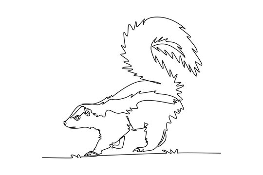 Single one line drawing wild skunk walking with large bushy tail raised high in defensive warning posture, distinct traits of woodland wildlife. Continuous line draw design graphic vector illustration