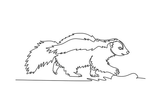 Single one line drawing a wild funny skunk walking along the woodland ground with its distinctive dorsal stripe, bushy tail, fluffy fur. Modern continuous line draw design graphic vector illustration