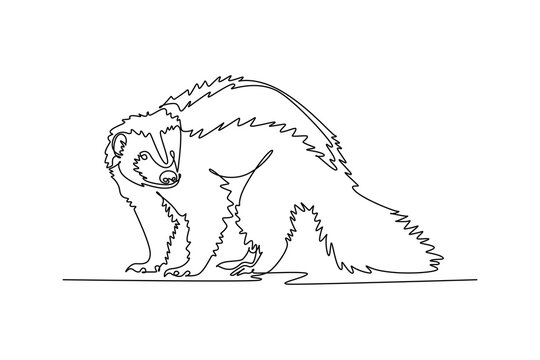 Single one line drawing wild skunk animal standing in the forest. Wildlife diversity, fluffy fur creature, deciduous fauna nature conservation. Continuous line draw design graphic vector illustration
