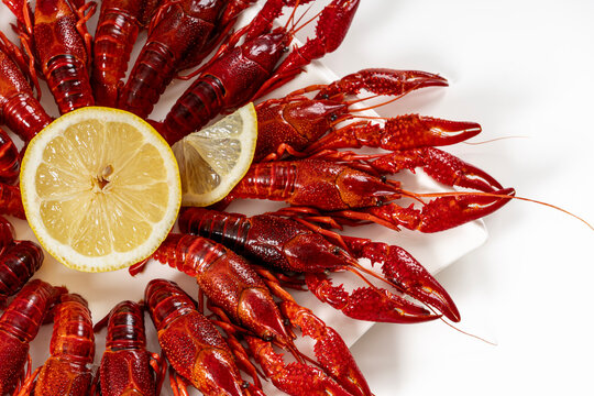 Red boiled crawfish crayfish with lemon close up on white background