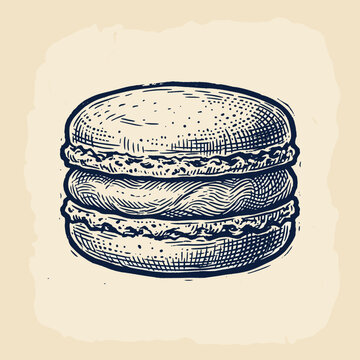 Food handdrawn macaron sketch in vintage woodcut style