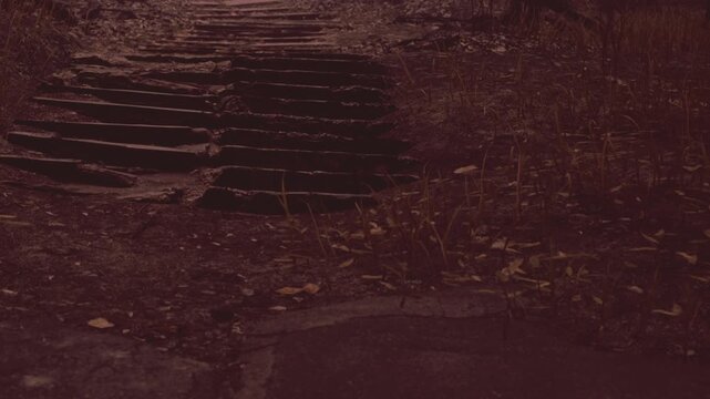 Winding steps disappear into a dimly lit forest as twilight casts eerie shadows. The atmosphere is thick with mystery and a sense of adventure awaits those who dare explore.