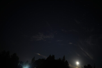 Fototapeta premium Moonlit Night Sky Capturing Stars and Silhouetted Trees Under a Starry Cosmos