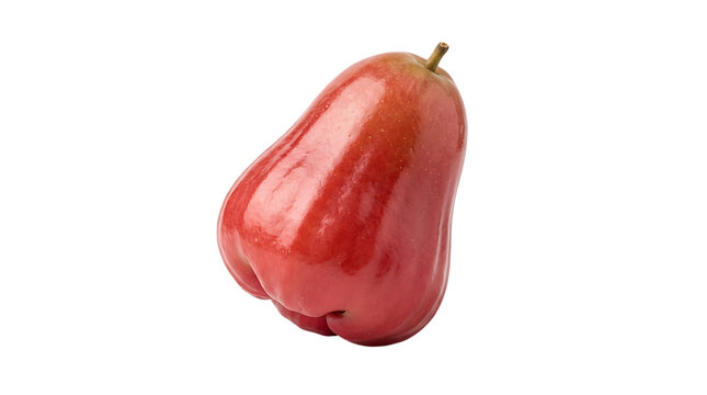 Single fresh wax apple isolated on white background with a ripe red rose