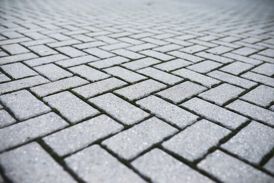 Close-Up of Geometric Gray Brick Pavement Pattern in Urban Setting