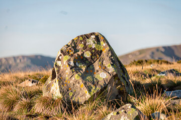 single weathered alpine boulder among low golden tundra grasses under a pale blue sky © GMeta