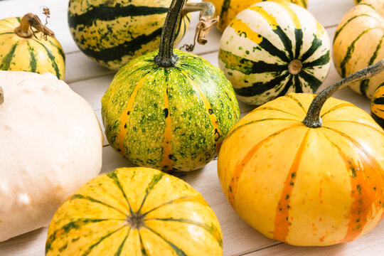 Close-up of diverse decorative pumpkins and ornamental gourds on white wooden table. Colorful autumn harvest background with textured, striped and speckled mini squashes for festive decoration.