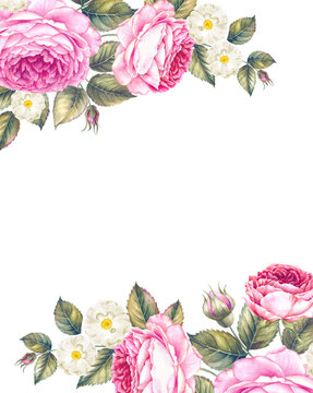 Bouquet of rose. Invitation card for wedding, birthday and other holiday and summer background. Botanical illustration.