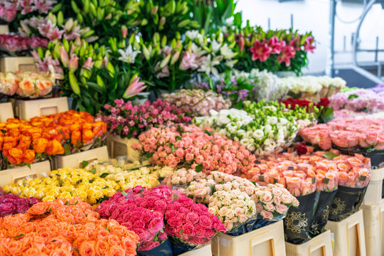 Colorful flower market stall with a large variety of fresh roses, lilies, and spring flowers