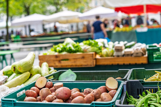 Fresh vegetables at a local farmers market with potatoes, zucchini and greens