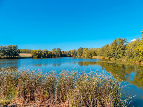  Reservoir upstream of Lake Michelbach in Alsace, maintained by a small dike, fed by the Doller and Michelbach rivers, bordered by reedbeds and lush vegetation