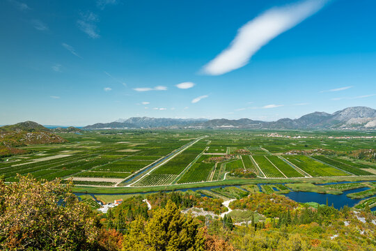 Scenic aerial view of fertile Neretva river valley agricultural land, orchards, plantations, and mountains under a blue sky in Croatia