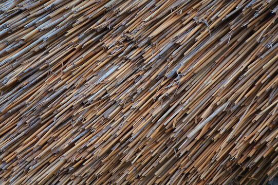 Close-up of a weathered thatched roof at Gearrannan Blackhouse Village on the Isle of Lewis, Scotland.
