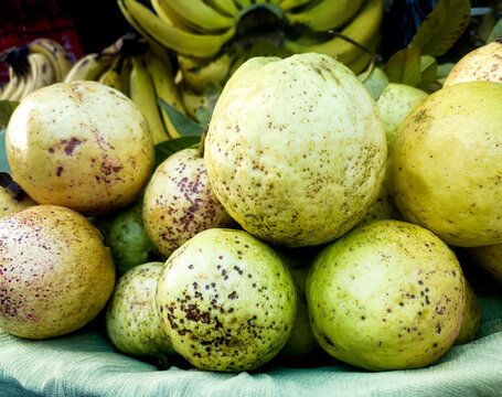 Fresh Ripe Guavas Displayed at a Local Fruit Market