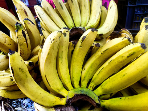 Bunches of Fresh Ripe Yellow Bananas at Market Stall