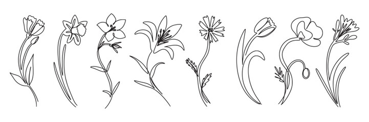 Naklejka premium Minimal flowers. Line floral rose, linear spring iris or thin outline modern art icons. Leaf decoration contour. Black outline blooming meadow plants, stems and leaves, vector illustration