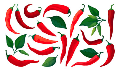 Fototapeta premium Chili pepper. Red spicy mexican icon, paprika symbol shape or fresh vegetable chile cook. Hand drawn spicy vegetables with green leaves. Vector cartoon flat isolated illustration