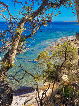 Vertical landscape of Plage de Saint Costanza in Porto-Vecchio, Corsica. in foreground wild Mediterranean vegetation and coastal maquis shrubs, framing a crystal-clear turquoise sea 
