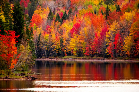 Fall colours surround a lake in NB, Canada. 