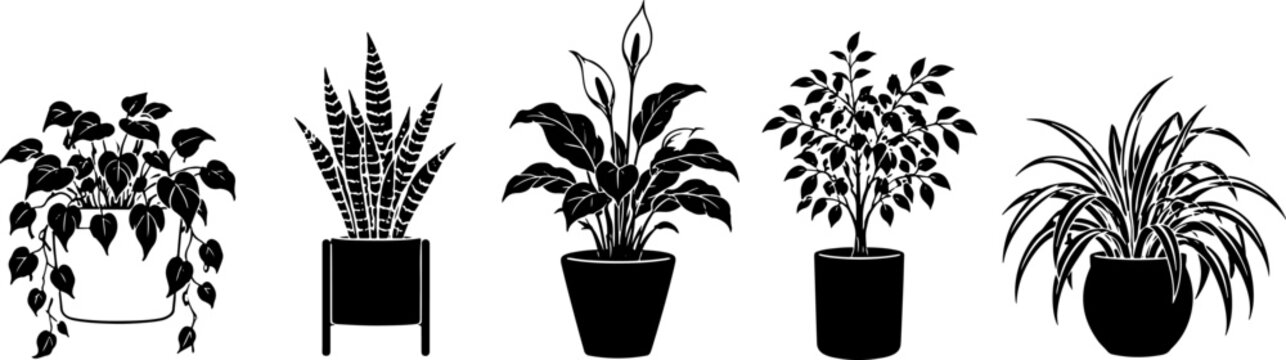 Black and White Silhouettes of Potted Houseplants in Minimalist Botanical Illustration