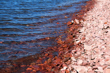 Red and pink wet stones along shoreline meeting rippling blue water, vivid color contrast of rocky beach and clear lake surface, natural texture background © Владимир Трубачёв