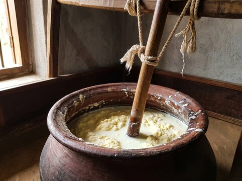 Traditional butter churning in a large clay pot with a wooden churner and fresh creamy butter