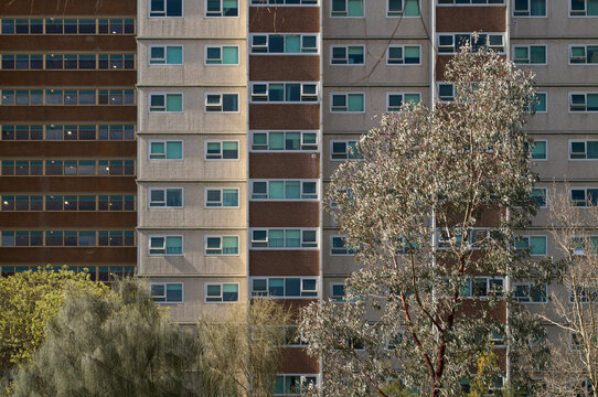 High Density Social Housing Tower With Many Windows and Trees