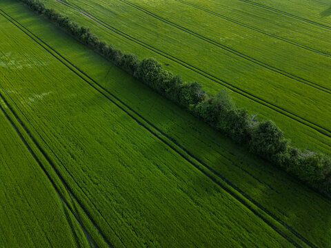 Aerial View of Green Agricultural Fields