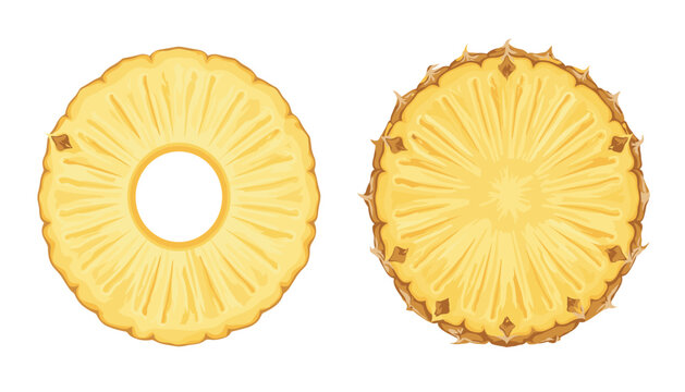 Pineapple slice tropical fruit vector design. Ring, round, cross section, core, textured peel, juicy and organic food.