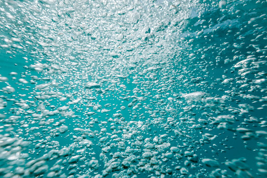 air bubbles filling turquoise freshwater