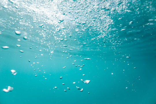 bright bubbles drifting through blue-green water