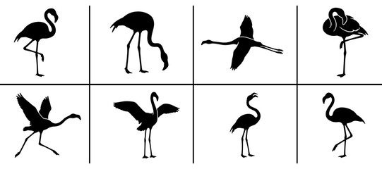 Fototapeta premium Flamingo silhouettes set with birds in various poses, flying and standing for wildlife design
