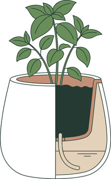 An educational cutaway diagram illustrating the self watering system of a potted herb plant.