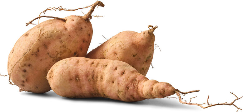 raw sweet potatoes isolated white background, unpeeled root vegetables with shadows