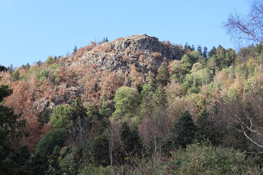 Rochesson (Vosges department, Grand Est, France)