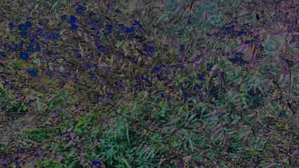 Abstract close-up of dense vegetation rendered in surreal blue, purple, and green tones, creating a striking botanical texture with intricate foliage patterns and artistic visual effects. © Martins