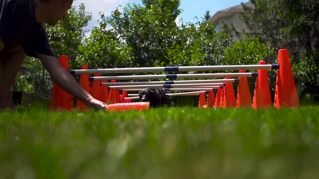 Dog crawling under cone obstacles in slow motion