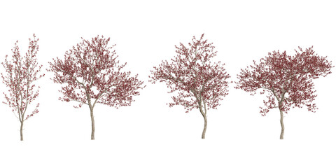 Naklejka premium Set of Red Leaf Trees Isolated on White Background