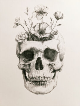 pencil sketch drawing of a human skull with delicate blooming flowers growing out from the top of the head artistic vintage monochrome illustration for tattoo design anatomy concept, dark art project