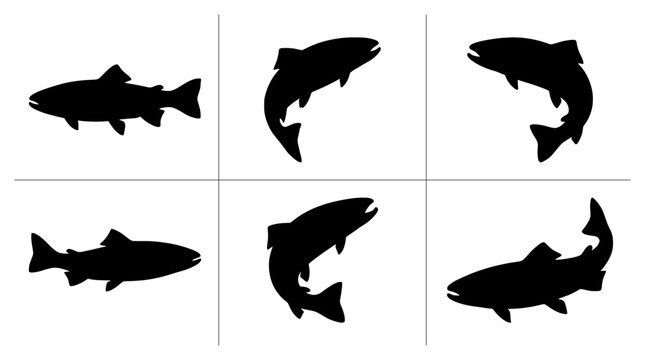 Salmon silhouettes set with jumping and swimming poses for fishing logos and icons