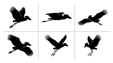 Fototapeta premium Shoebill silhouettes set in flight and landing poses for wildlife or ornithology design