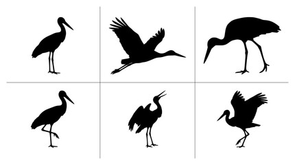 Fototapeta premium Stork silhouettes set with birds in flight, standing and foraging for logo and print