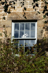 Bird decor displayed in the window of a traditional stone cottage.  A quiet symbolic image...