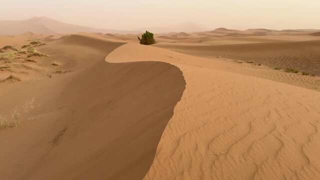 Merzouga desert at dawn with mist	