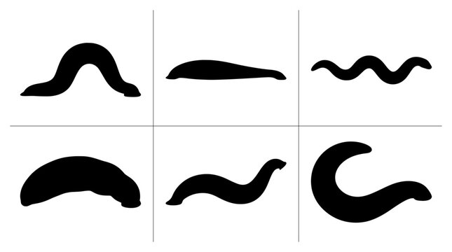 Leech silhouettes set with different poses for science or medical use