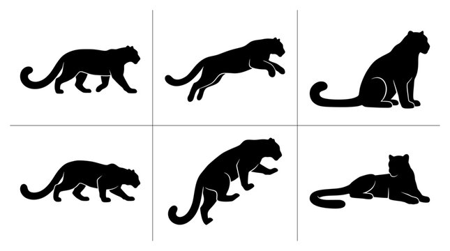 Snow leopard silhouettes set with walking, jumping and lying poses for wildlife design