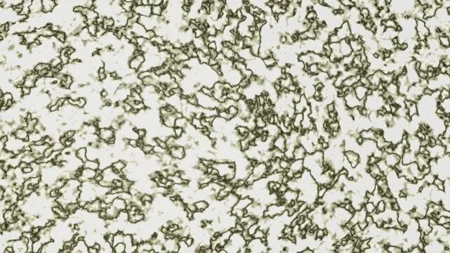 Abstract white marble texture with elegant dark gray veins flowing across the smooth polished stone surface creating a luxurious natural background pattern for interior design